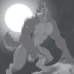 1boy 2021 abs absurd_res animal_genitalia animal_penis anthro arm_support badcoyote ball_tuft balls biceps black_and_white bodily_fluids canid canine canine_penis canis claws digitigrade dripping ear_piercing ear_ring erection fangs finger full_moon fur genital_fluids genitals hi_res male male_focus male_only male_solo mammal monochrome moon muscular muscular_anthro naked night night_sky nipples nude open_mouth outside pecs penis penis_piercing precum precum_drip quads sharp_teeth sketch sky solo solo_male standing teeth toe_claws triceps tuft vein veiny were werecanid werecanine werewolf wolf