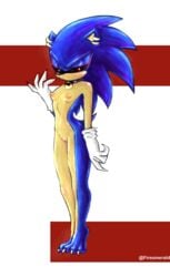 anthro creepypasta female furry hedgehog rule_63 solo sonic.exe sonic.exe_(character) sonic.exe_(creepypasta) sonic_(series) sonic_the_hedgehog sonica.exe