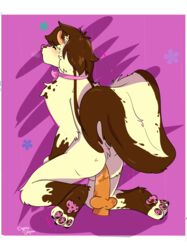 absurd_res anal anal_sex animal_dildo animal_sex_toy anthro brown_hair canine_dildo dildo dildo_in_ass dildo_insertion facial_markings girly hair head_markings hi_res long_tail male mammal markings mephitid pawpads paws penetration sex_toy sex_toy_in_ass sex_toy_insertion skunk solo tiramisu_(deal_zoddito_acrost) unknown_artist