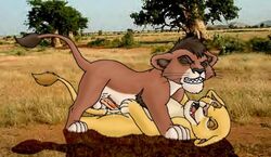 disney erect_penis feline female female_feral feral fur furry furry_only kiara kovu lion male mammal penis straight tagme the_lion_king the_lion_king_ii:_simba's_pride