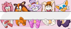 5girls amy_rose anthro balls barefoot blaze_the_cat feet female foot_fetish multiple_girls nasiri_(artist) rouge_the_bat socks soles sonic_(series) sticks_the_badger sticks_the_jungle_badger sticks_the_tejon tagme toes vanilla_the_rabbit