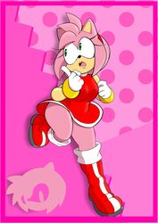 amy_rose fullmetalsketch sonic_(series) sonic_the_hedgehog_(series) tagme