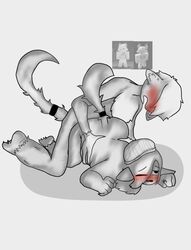 1boy 1girls absurd_res artist_request blush female furry male reference_image roblox roblox_avatar robloxian source_request tagme white_background white_fur