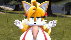 animated blue_eyes fellatio huge_breasts paizuri penis rule_63 sonic_(series) sonic_the_hedgehog_(series) tail tails tailsko white_fur yellow_fur