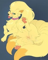 bodily_fluids female female_only feral fluffy_tail fox fur furry furry_only green_eyes hioshiru leyla_ninetales naked ninetales nintendo nude paws pokémon_(species) pokemon presenting presenting_pussy pussy pussy_juice spread_legs tail yellow_fur