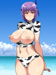 artist_request ayane_(doa) beach breasts busty dead_or_alive female hourglass_figure kunoichi ninja purple_hair tagme tecmo wide_hips