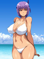 ayane_(doa) beach breasts busty dead_or_alive female hourglass_figure kunoichi ninja purple_hair tagme tan tecmo wide_hips