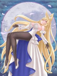 Fate (Series) Rule 34 Image