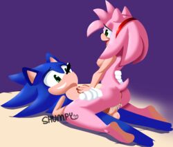 amy_rose anthro balls blue_body blue_hair cowgirl_position duo erection eyelashes female from_front_position genitals glistening glistening_eyes green_eyes hair humanoid_genitalia humanoid_penis male male/female on_bottom on_top open_mouth penis pink_body pink_hair sega sex shumpy sonic_(series) sonic_the_hedgehog tongue