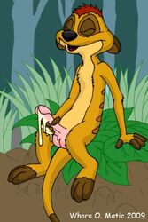 2009 anthro cum disney male male_only masturbation meerkat nude penis solo tagme the_lion_king timon whore_o._matic