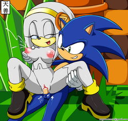 fan character from sega by tenzen