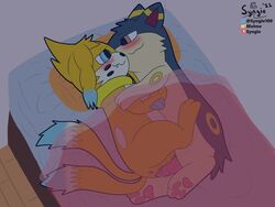 4:3 bed buizel duo echo female feral furniture grinding male male/female nintendo on_bed pokémon_(species) pokemon pokemon_(species) pussy quilava syngie_(artist) under_covers video_games