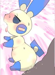 animated bulge female feral lagomorph leporid low_res male male/female mammal minun nintendo open_mouth penetration pokémon_(species) pokemon pokemon_(species) rabbit solo video_games