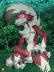 1boy 2021 animal_genitalia animal_penis anthro balls big_penis black_body black_fur black_hair canine canine_penis claws digital_media_(artwork) erection fur genitals grass hair hi_res kneeling knot lycanroc male male_midnight_lycanroc male_only male_pokemon midnight_lycanroc multicolored_body multicolored_fur multicolored_hair nintendo outside patto penis pink_eyes plant pokémon_(species) pokemon red_body red_fur sheath smile solo solo_male two_tone_hair video_games white_body white_fur white_hair