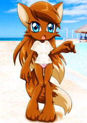 anthro bbmbbf beach canine claire_(palcomix) fox outside palcomix panties seaside tshirt wet wet_clothes