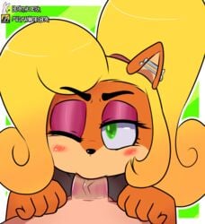 anthro berkthejerk blonde_hair coco_bandicoot crash_(series) eyeshadow fellatio green_eyes human_on_anthro lipstick lipstick_on_penis lipstick_smear oral oral_sex saliva