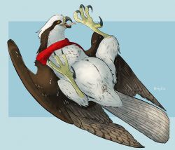 2024 accipitriform ambiguous_gender animal_genitalia avian bird brown_body brown_feathers cloaca feathers feral genitals hi_res lying on_back osprey red_scarf scarf simple_background solo white_body white_feathers wingz31