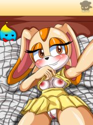 aged_up anthro bed bedroom_eyes breasts chao_(sonic) cheese_the_chao clothed clothing cream_the_rabbit dress duo female furniture genitals half-closed_eyes hi_res humanoid lagomorph leporid mammal medium_breasts narrowed_eyes nipples presenting pussy rabbit seductive sega selfie sirjzau skirt small_breasts solo sonic_(series) sonic_the_hedgehog_(series) spying