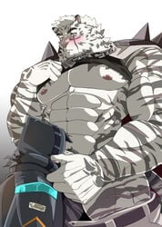 1boy 1other abs ambiguous_gender animal_ears arknights bara bare_pectorals belt black_tank_top blush chain_necklace clothes_lift doctor_(arknights) erection fellatio furry furry_male grausummon hood hood_up large_pectorals lifted_by_self male male_focus male_only mountain_(arknights) muscular muscular_male navel nipples open_belt open_pants oral pants pectorals scar scar_across_eye shirt_lift short_hair size_difference solo stomach tank_top thick_thighs thighs tiger_boy tiger_ears white_fur white_hair white_pants