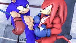 3d_(artwork) abs anal anal_sex balls bodily_fluids boxing boxing_gloves clothing cum cum_on_chest cumshot digital_media_(artwork) duo ejaculation erect_nipples erection fighting_ring genital_fluids genitals gym handwear hi_res knuckles_the_echidna loafsfm male male/male male_only muscular muscular_male nipples pecs penetration penis sega sonic_(series) sonic_the_hedgehog source_filmmaker sport