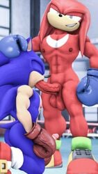 3d_(artwork) abs balls boxing boxing_gloves clothing digital_media_(artwork) duo erect_nipples erection fellatio fighting_ring genitals gym handwear hi_res knuckles_the_echidna loafsfm male male/male male_only muscular muscular_male nipples oral pecs penile penis sega sex sonic_(series) sonic_the_hedgehog source_filmmaker sport