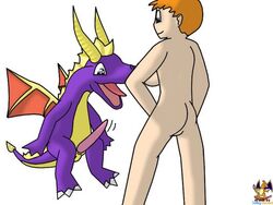 crossover dragon female human kasumi_(pokemon) male nintendo nude orange_hair penis pokemon scalie spyro_the_dragon straight surfing_charizard