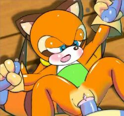 af-js anthro blush clothing female fur gloves handjob hedgehog interspecies male male_pov mammal marine_the_raccoon multiple_males penis pov pussy raccoon rodent sega sex sonic_(series) sonic_the_hedgehog straight tagme