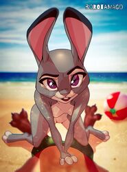 anthro beach bent_over borotamago bottomwear breasts disney duo female hi_res judy_hopps lagomorph leporid male male/female mammal nick_wilde nude rabbit seaside shorts small_breasts swimsuit swimwear zootopia zootopia_shorts