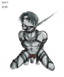 levi from attack on titan