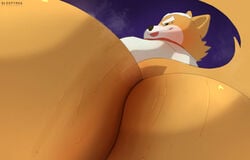 animal_humanoid anthro ass big_ass big_ass_(male) big_butt bodily_fluids bubble_ass bubble_butt clothing dat_ass dat_butt dumptruck_ass dumptruck_butt eyebrows fat fat_ass fat_butt first_person_view fox_mccloud fur head_tuft huge_ass huge_butt humanoid jacket large_ass large_butt low-angle_view male massive_ass massive_butt multicolored_body multicolored_fur musk nintendo obese obese_anthro obese_male orange_body orange_fur overweight overweight_anthro overweight_male plump_ass plump_butt round_ass round_butt signature sleepyras solo star_fox superchub sweat sweaty_butt tan_body tan_fur tongue topwear tuft two_tone_body two_tone_fur video_games white_clothing white_jacket white_topwear worm's-eye_view