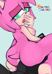amy rose from sega by saltorii