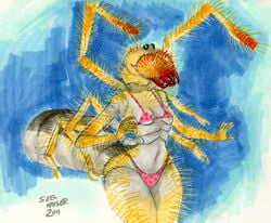 1girls 2011 abdomen anthro arachnid arthropod bikini camel_spider fangs female female_focus female_only hairy mandibles multi_arm multi_limb navel seel_kaiser segmented sketch solifugid spider wide_hips