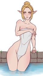 nintendo pandin princess_zelda tagme the_legend_of_zelda towel