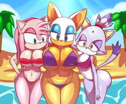 allissei amy_rose bat bat_humanoid beach big_breasts bikini blaze_the_cat breast_envy breasts chiropteran cleavage erinaceinae eyelashes feline females females_only hedgehog huge_breasts large_breasts looking_at_breasts looking_at_viewer ocean pink_body pink_spines purple_body purple_fur rouge_the_bat sega shortstack sonic_(series) sonic_the_hedgehog_(series) swimsuit tan_body tan_skin thick_thighs water wide_hips