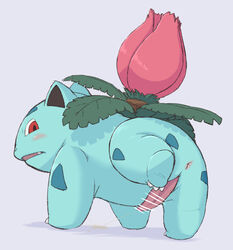 anus ass blush censor_bar censored elemental_creature erection feral flora_fauna genitals hi_res ineffective_censorship ivysaur male male_only nintendo peeing penis plant pokémon_(species) pokemon pokemon_(species) presenting presenting_anus presenting_hindquarters presenting_penis raised_leg simple_background solo tapering_penis tecoco video_games