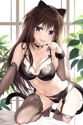 :d animal_ears arm_warmers backlighting bare_shoulders black_armwear black_bra black_garter_belt black_garter_straps black_panties black_stockings black_underwear blue_eyes boku_no_kanojo_sensei bra breasts brown_hair brown_legwear cat_tail choker clavicle cleavage fake_animal_ears fake_tail female fujiki_maka garter_belt garter_straps hairband hand_up large_breasts leaf leaning_forward legwear lingerie long_hair looking_at_viewer navel nekomimi no_shoes open-mouth_smile open_mouth oryou panties pantsu paw_pose plant smile solo stockings stomach tagme tail teacher thighhighs underwear underwear_only window