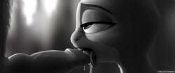 absurd_res anthro bodily_fluids canid canine cum cum_in_mouth cum_inside digital_media_(artwork) disney duo erection fellatio female fox fur genital_fluids genitals grey_body grey_fur hi_res judy_hopps lagomorph leporid licking male male/female mammal monochrome nick_wilde nude oral penile penis rabbit sex simple_background sucking tongue tongue_out twilightchroma widescreen zootopia