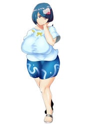 1girls absurd_res absurdres amakusa_gorilla big_breasts blue_eyes blue_hair breasts clothes creatures_(company) female female_focus female_only game_freak hair_ornament hi_res high_resolution highres human lana's_mother_(pokemon) mature mature_female milf mob_face nintendo pokemon pokemon_(anime) pokemon_sm shirt skirt solo thick_thighs tied_hair voluptuous wide_hips