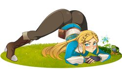 1girls blonde_hair breath_of_the_wild female flower fully_clothed grass jack-o_pose krius-ol long_hair nintendo princess_zelda solo tagme the_legend_of_zelda zelda_(breath_of_the_wild)