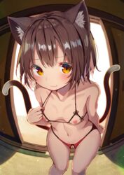 animal_ears bra censored chen mamemochi nipples pantsu pussy tail touhou