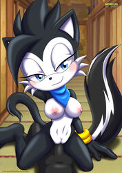 anthro bbmbbf blush breasts cat cowgirl_position female geoffrey_st_john hershey_the_cat male male/female mobius_unleashed nude palcomix penis pussy sega sex skunk smile sonic_(series) sonic_the_hedgehog_(series) vaginal_penetration vaginal_sex