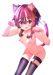 alternative_costume animal_ear_fluff animal_ears archway_of_venus bangs bare_arms black_legwear blush breasts brown_hair cat_ear cat_girl cat_tail catgirl claw_pose clothing cosplay duplicate eyebrows_visible_through_hair female garter gem high_resolution karyl_(princess_connect!)_(cosplay) kono_subarashii_sekai_ni_shukufuku_wo! legwear looking_at_viewer lower_teeth megumin momochi_kiruya navel nekomimi nipples nude nude_female oerba_yun_fang open_mouth paw_pose princess_connect! princess_connect!_re:dive pussy red_eyes short_hair short_hair_with_long_locks simple_background small_breasts solo stockings sydus tail thigh_gap thighhighs thighs uncensored vagina very_high_resolution white_background