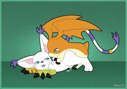 black_nose blue_eyes color digimon female fur furry furry_ears furry_tail gatomon glove head_wings interspecies male open_eyes open_mouth patamon paw pointy_ears tail white_fur wings