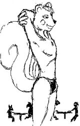 1boy anthro cafe erection filbert_(rq) furry male male_only monochrome restaurant ruby_quest smile solo underwear