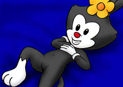 animaniacs anthro black_fur color dot_warner female female_only fur gloves lying nude on_back otama pussy red_nose solo tagme white_fur