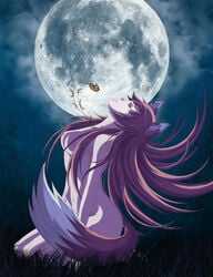 1girls animal_ears breasts brown_hair female grass highres holo jewelry long_hair looking_up medium_breasts moon night night_sky nipples nude open_mouth pendant sitting sky solo spice_and_wolf tail tonee wolf_ears wolf_tail