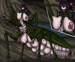 Big Breasts Rule 34 Image