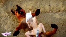 3d animal_humanoid bestiality big_breasts canine cat_tail cowgirl_position dog erect_penis erection female_on_feral feral_on_female fox_ears fox_girl fox_humanoid foxgirl insertion kuuri long_hair nude nude_female penis_in_pussy riaykuras_playground sex tail vaginal_sex whisker_markings white_hair white_hair_female zoophilia