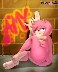 1girls amy_rose anthro ass barefoot completely_nude completely_nude_female female female_only full_body fully_nude furry half-closed_eyes johnboyx jyaboislewd looking_at_viewer looking_back naked naked_female nude nude_female sitting solo solo_female sonic_(series) tail