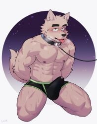 abs absurd_res anthro biceps biped blush bodily_fluids canid canine clothed clothing collar erection erection_under_clothing eyebrows fur genital_fluids hi_res kemono leash leashed_collar luwei_(artist) male male_only mammal muscular muscular_anthro muscular_male pecs precum precum_through_clothing solo tail tenting tongue tongue_out wet wet_clothing